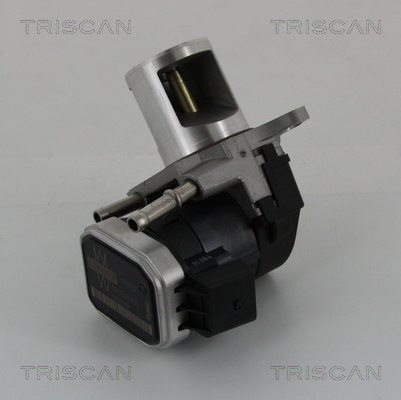 TRISCAN EGR szelep 881323016_TRIS