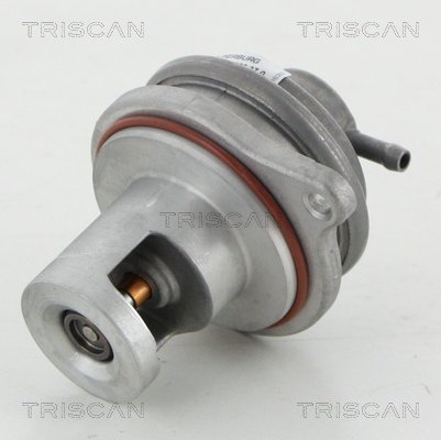 TRISCAN EGR szelep 881323017_TRIS