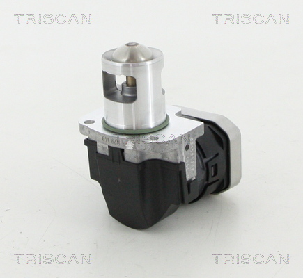 TRISCAN EGR szelep 881323025_TRIS