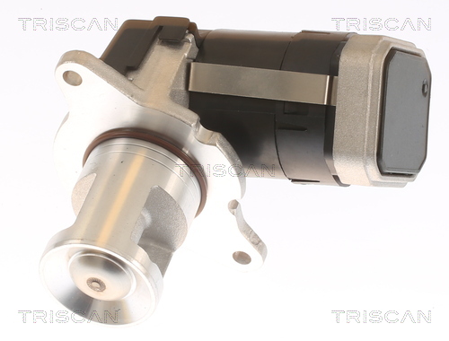 TRISCAN EGR szelep 881323036_TRIS