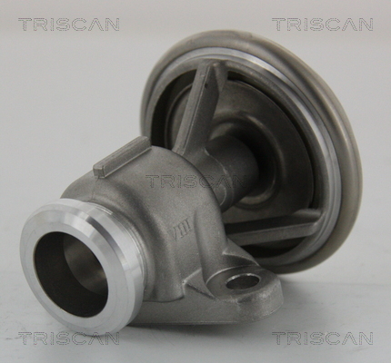 TRISCAN EGR szelep 881323201_TRIS