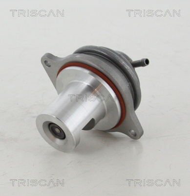 TRISCAN EGR szelep 881323207_TRIS