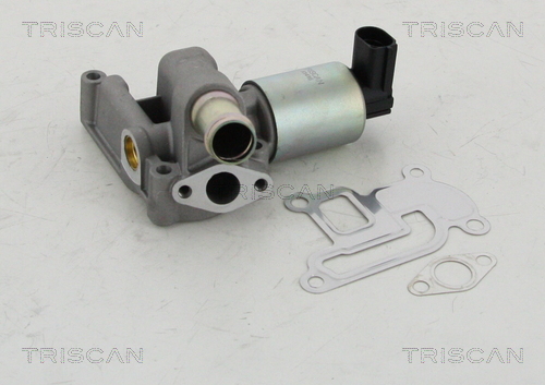 TRISCAN EGR szelep 881324003_TRIS