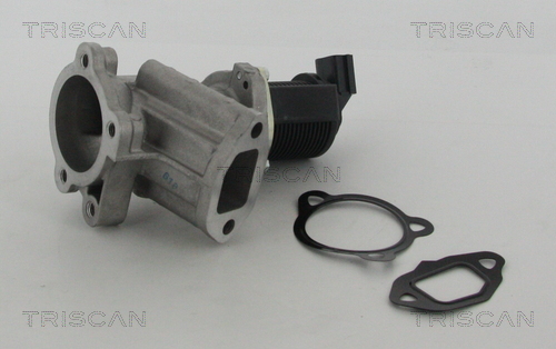 TRISCAN EGR szelep 881324015_TRIS