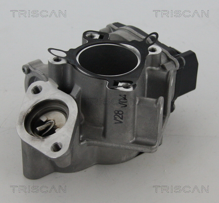 TRISCAN EGR szelep 881324039_TRIS