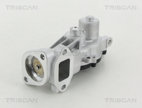 TRISCAN EGR szelep 881324040_TRIS