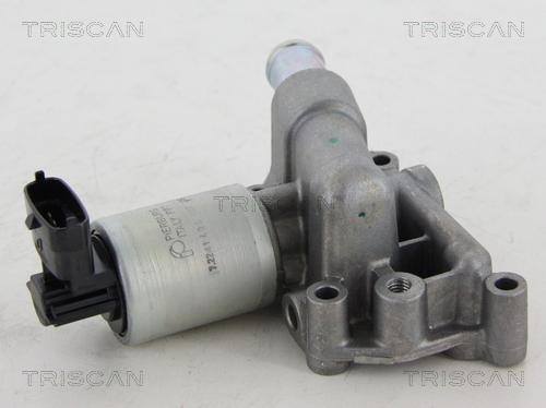 TRISCAN EGR szelep 881324059_TRIS