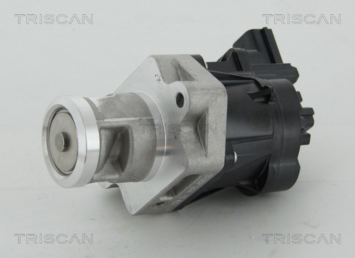 TRISCAN EGR szelep 881324083_TRIS