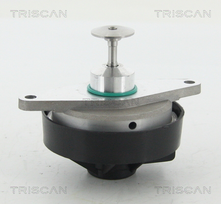 TRISCAN EGR szelep 881324103_TRIS