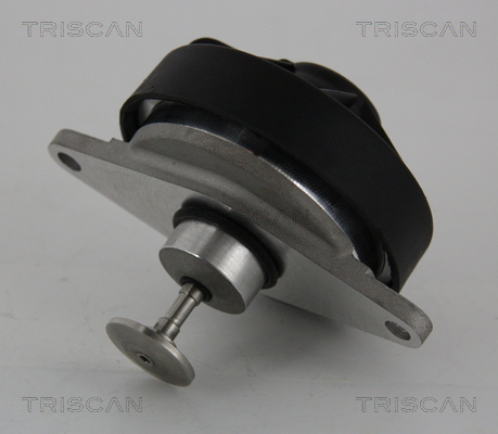 TRISCAN EGR szelep 881324202_TRIS