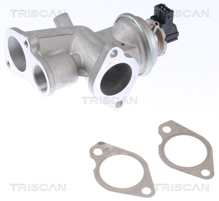 TRISCAN EGR szelep 881324203_TRIS