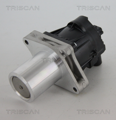 TRISCAN EGR szelep 881324205_TRIS