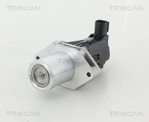 TRISCAN EGR szelep 881324209_TRIS