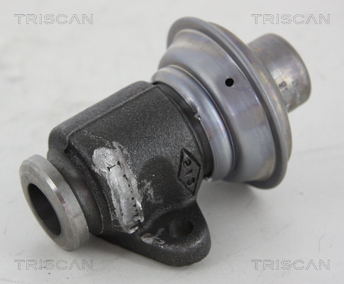 TRISCAN EGR szelep 881325006_TRIS