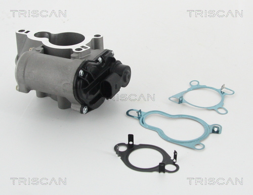 TRISCAN EGR szelep 881325010_TRIS