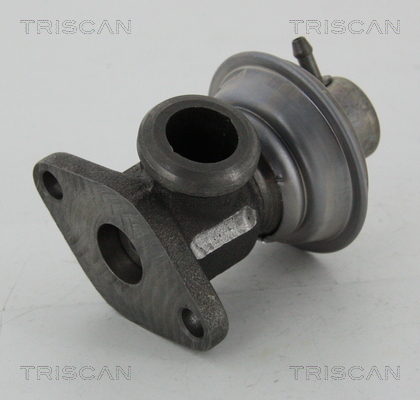 TRISCAN EGR szelep 881325011_TRIS