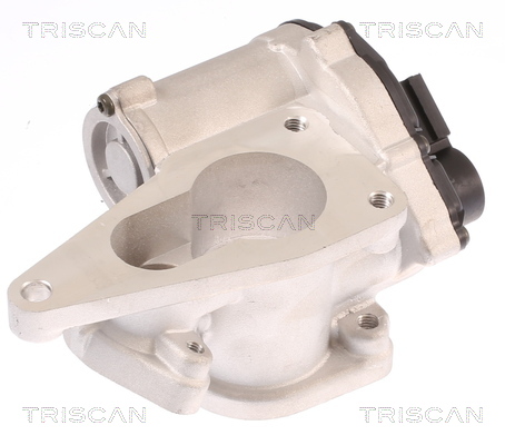 TRISCAN EGR szelep 881325012_TRIS