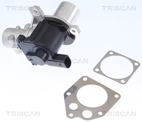 TRISCAN EGR szelep 881325036_TRIS