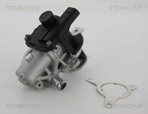 TRISCAN EGR szelep 881325039_TRIS