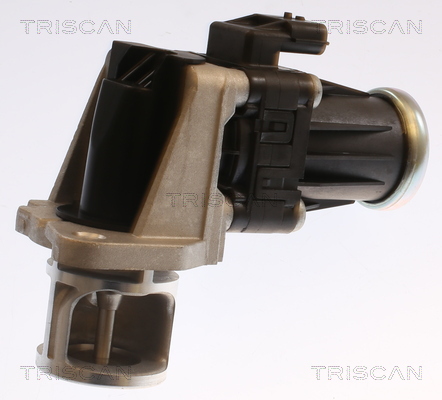 TRISCAN EGR szelep 881325040_TRIS