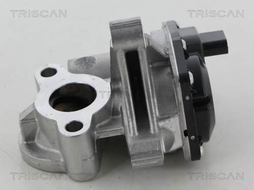 TRISCAN EGR szelep 881325041_TRIS