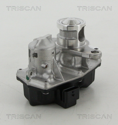 TRISCAN EGR szelep 881325042_TRIS