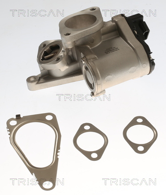 TRISCAN EGR szelep 881325201_TRIS