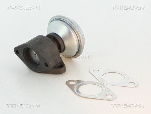 TRISCAN EGR szelep 881327100_TRIS