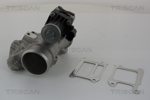 TRISCAN EGR szelep 881327102_TRIS