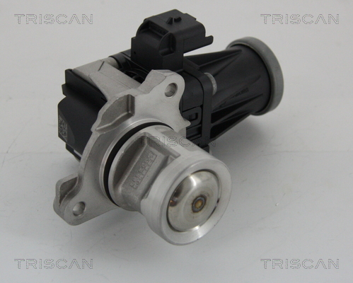 TRISCAN EGR szelep 881328005_TRIS