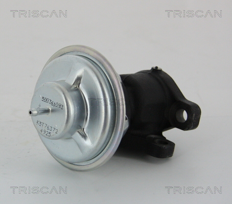 TRISCAN EGR szelep 881328011_TRIS