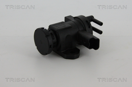 TRISCAN EGR szelep 881328016_TRIS