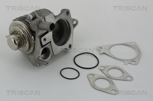 TRISCAN EGR szelep 881328019_TRIS