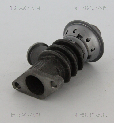 TRISCAN EGR szelep 881328100_TRIS