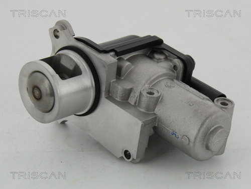 TRISCAN EGR szelep 881329002_TRIS