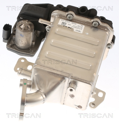 TRISCAN EGR szelep 881329005_TRIS