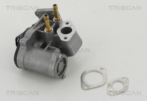 TRISCAN EGR szelep 881329017_TRIS