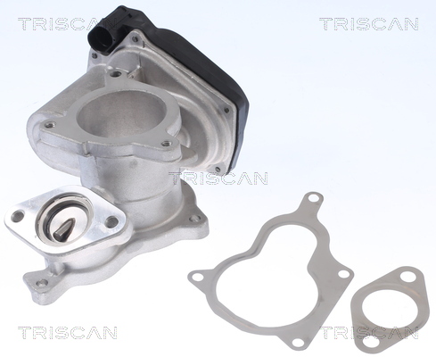 TRISCAN EGR szelep 881329019_TRIS