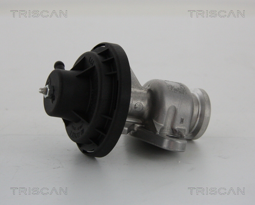 TRISCAN EGR szelep 881329034_TRIS