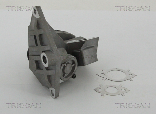 TRISCAN EGR szelep 881329047_TRIS