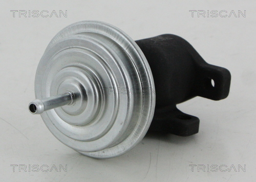 TRISCAN EGR szelep 881329053_TRIS