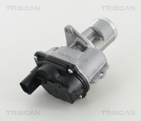 TRISCAN EGR szelep 881329065_TRIS