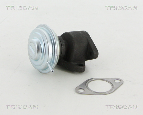 TRISCAN EGR szelep 881329067_TRIS