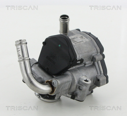 TRISCAN EGR szelep 881329069_TRIS