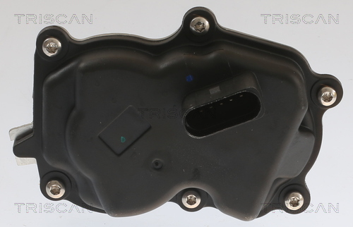 TRISCAN EGR szelep 881329083_TRIS