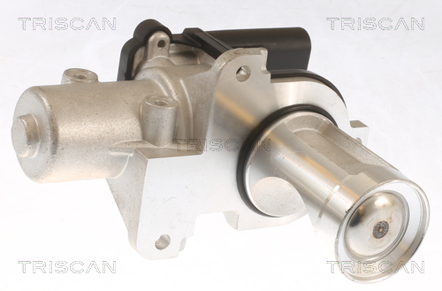 TRISCAN EGR szelep 881329101_TRIS