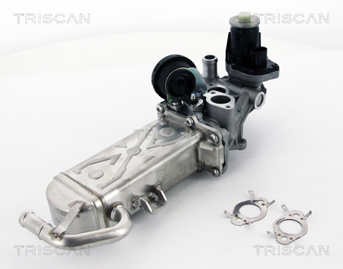 TRISCAN EGR szelep 881329102_TRIS