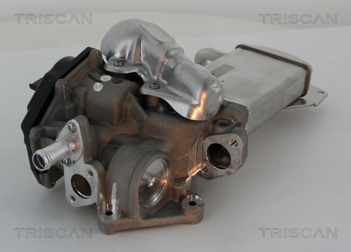 TRISCAN EGR szelep 881329304_TRIS