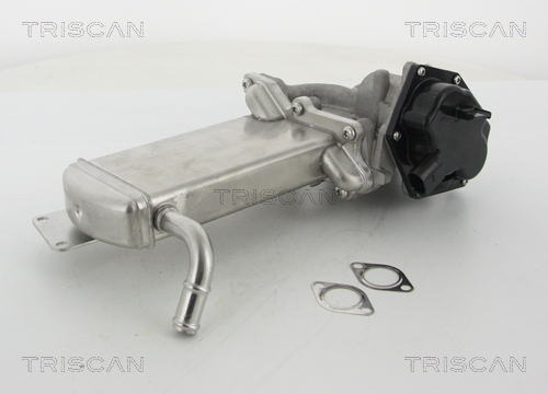 TRISCAN EGR szelep 881329305_TRIS