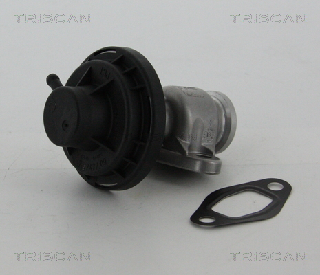 TRISCAN EGR szelep 881329307_TRIS